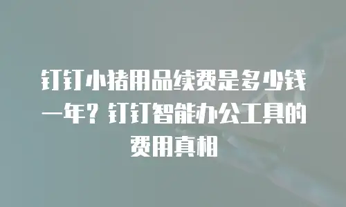 钉钉小猪用品续费是多少钱一年？钉钉智能办公工具的费用真相