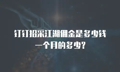 钉钉招采江湖佣金是多少钱一个月的多少？