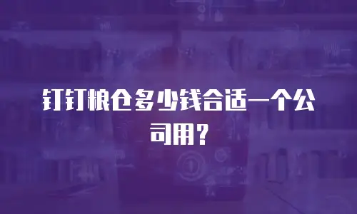 钉钉粮仓多少钱合适一个公司用？
