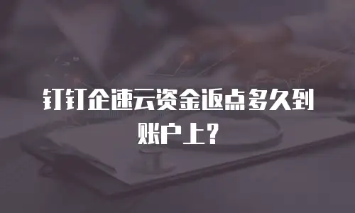钉钉企速云资金返点多久到账户上？