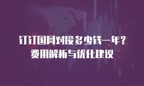 钉钉国网对接多少钱一年？费用解析与优化建议
