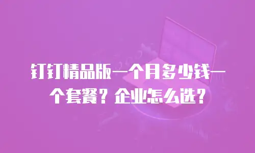 钉钉精品版一个月多少钱一个套餐？企业怎么选？