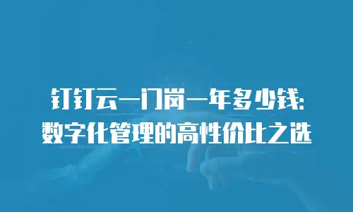钉钉云一门岗一年多少钱：数字化管理的高性价比之选