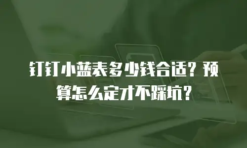 钉钉小蓝表多少钱合适？预算怎么定才不踩坑？
