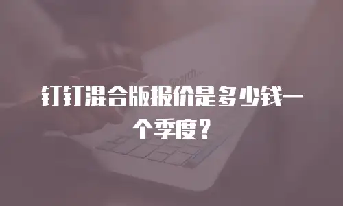 钉钉混合版报价是多少钱一个季度？