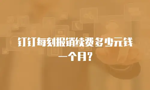 钉钉每刻报销续费多少元钱一个月？