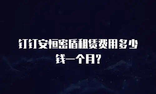 钉钉安恒密盾租赁费用多少钱一个月？