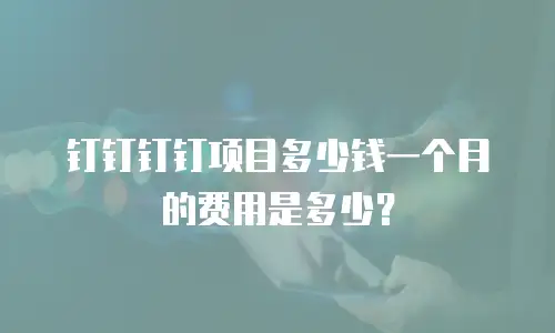 钉钉钉钉项目多少钱一个月的费用是多少？
