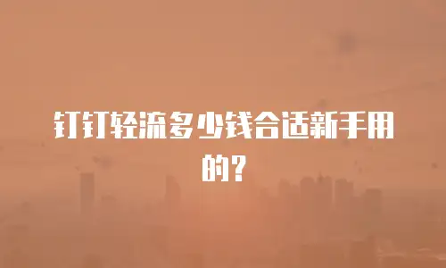钉钉轻流多少钱合适新手用的？