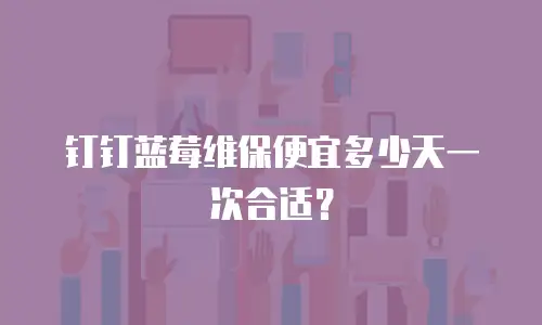 钉钉蓝莓维保便宜多少天一次合适？