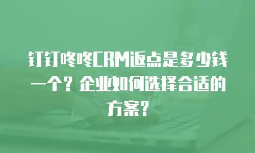 钉钉咚咚CRM返点是多少钱一个？企业如何选择合适的方案？