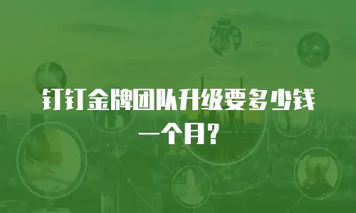 钉钉金牌团队升级要多少钱一个月？