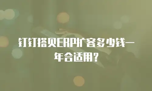 钉钉搭贝ERP扩容多少钱一年合适用？