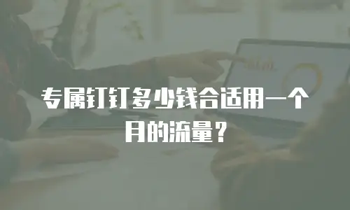 专属钉钉多少钱合适用一个月的流量？