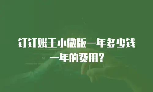 钉钉账王小微版一年多少钱一年的费用？
