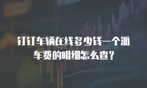 钉钉车辆在线多少钱一个派车费的明细怎么查？