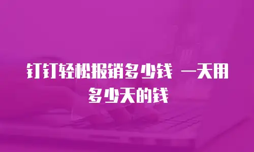 钉钉轻松报销多少钱 一天用多少天的钱