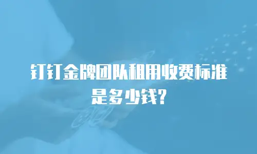 钉钉金牌团队租用收费标准是多少钱？