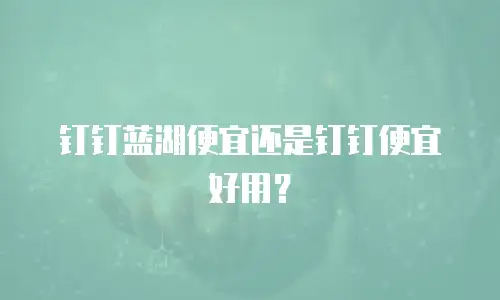 钉钉蓝湖便宜还是钉钉便宜好用？