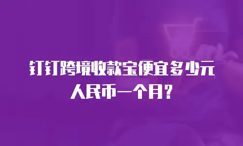 钉钉跨境收款宝便宜多少元人民币一个月？