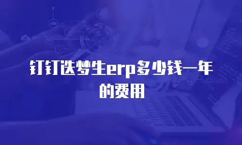 钉钉迭梦生erp多少钱一年的费用