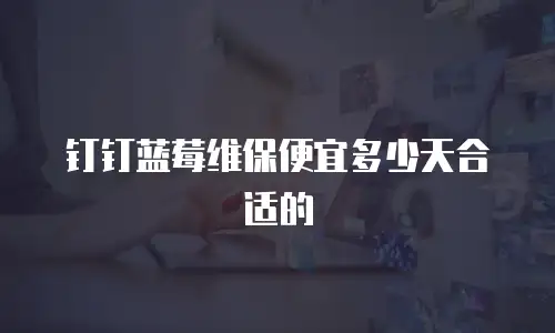 钉钉蓝莓维保便宜多少天合适的