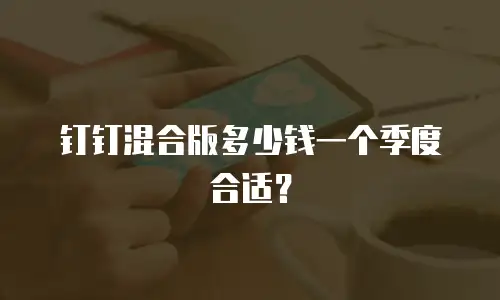 钉钉混合版多少钱一个季度合适？