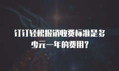 钉钉轻松报销收费标准是多少元一年的费用？