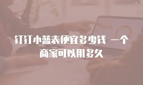 钉钉小蓝表便宜多少钱 一个商家可以用多久