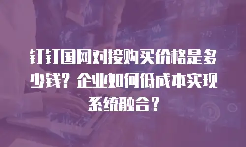 钉钉国网对接购买价格是多少钱？企业如何低成本实现系统融合？