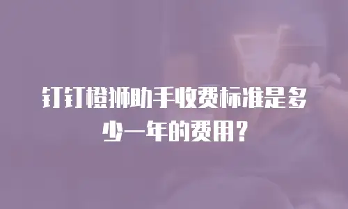 钉钉橙狮助手收费标准是多少一年的费用？