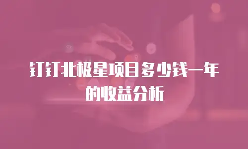 钉钉北极星项目多少钱一年的收益分析