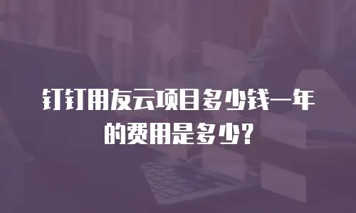 钉钉用友云项目多少钱一年的费用是多少？