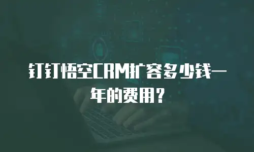 钉钉悟空CRM扩容多少钱一年的费用？