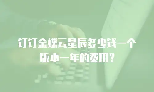 钉钉金蝶云星辰多少钱一个版本一年的费用？