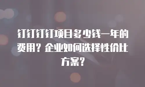 钉钉钉钉项目多少钱一年的费用？企业如何选择性价比方案？