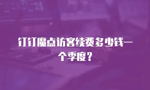 钉钉魔点访客续费多少钱一个季度？