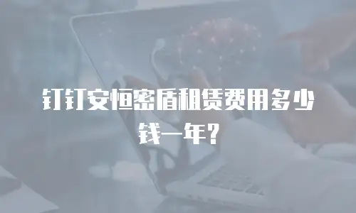 钉钉安恒密盾租赁费用多少钱一年？