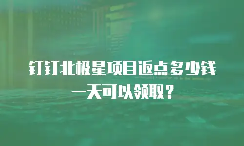 钉钉北极星项目返点多少钱一天可以领取？