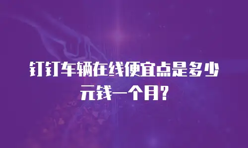 钉钉车辆在线便宜点是多少元钱一个月？