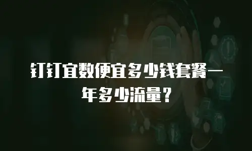 钉钉宜数便宜多少钱套餐一年多少流量？