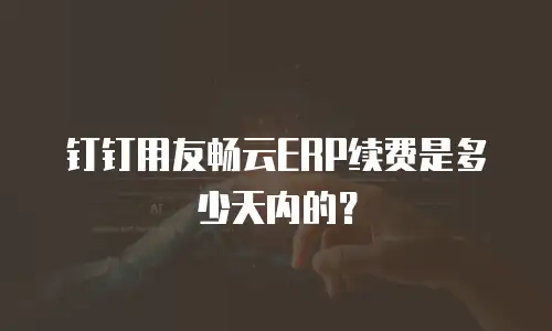钉钉用友畅云ERP续费是多少天内的？