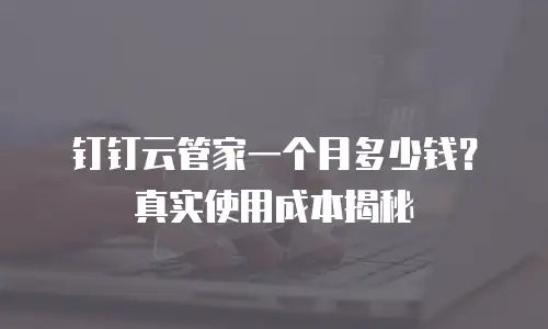 钉钉云管家一个月多少钱？真实使用成本揭秘