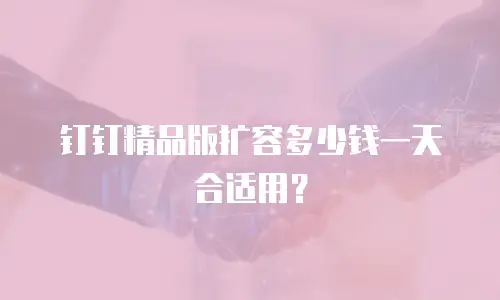 钉钉精品版扩容多少钱一天合适用？