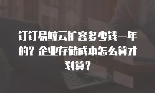 钉钉易鲸云扩容多少钱一年的？企业存储成本怎么算才划算？