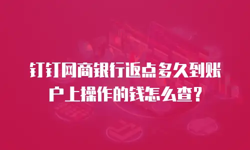 钉钉网商银行返点多久到账户上操作的钱怎么查？