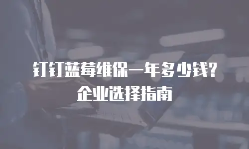 钉钉蓝莓维保一年多少钱？企业选择指南