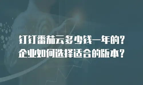 钉钉番茄云多少钱一年的？企业如何选择适合的版本？