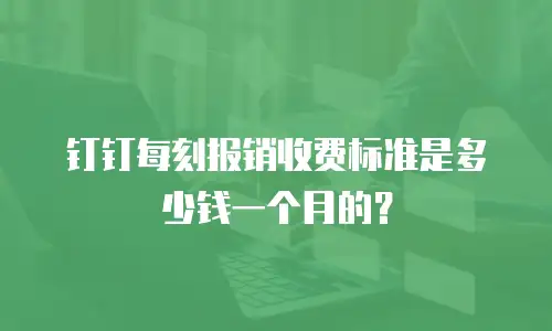 钉钉每刻报销收费标准是多少钱一个月的？