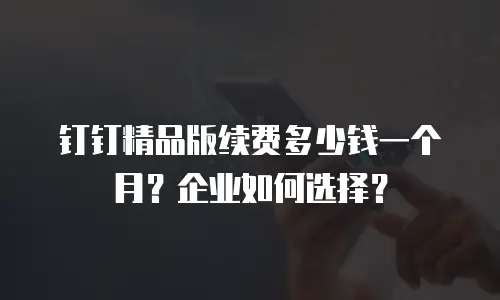 钉钉精品版续费多少钱一个月？企业如何选择？